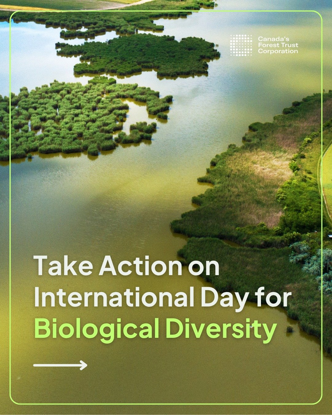 Biodiversity is the foundation of healthy forests, resilient ecosystems, and a thriving future.

This International Day for Biological Diversity, we&rsquo;re reminded that protecting biodiversity means protecting the countless species, habitats, and 