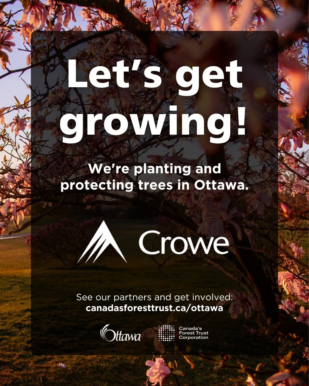 Smart decisions create lasting impact. @crowebgk  is proud to join the Let&rsquo;s get growing! campaign alongside the @cityofottawa and @canadasforest (CFTC).

As trusted advisors helping clients build long-term value, Crowe BGK believes investing i