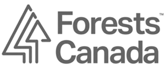 logo 7.png