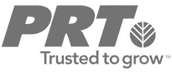 logo 6.png