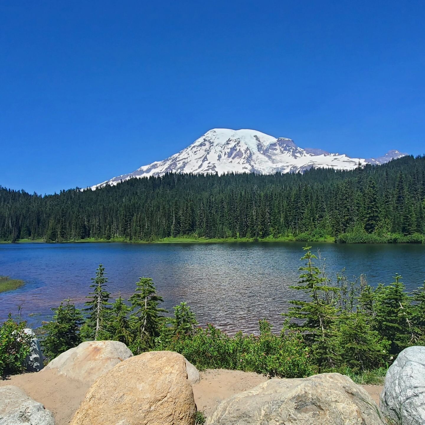 &quot;Embarking on a breathtaking journey to Mt. Rainier's Paradise Entrance! 🏞️✨ Nature's masterpiece unfolds with every step, surrounded by towering evergreens and crisp mountain air. Paradise found at the foot of Rainier &ndash; where adventure m