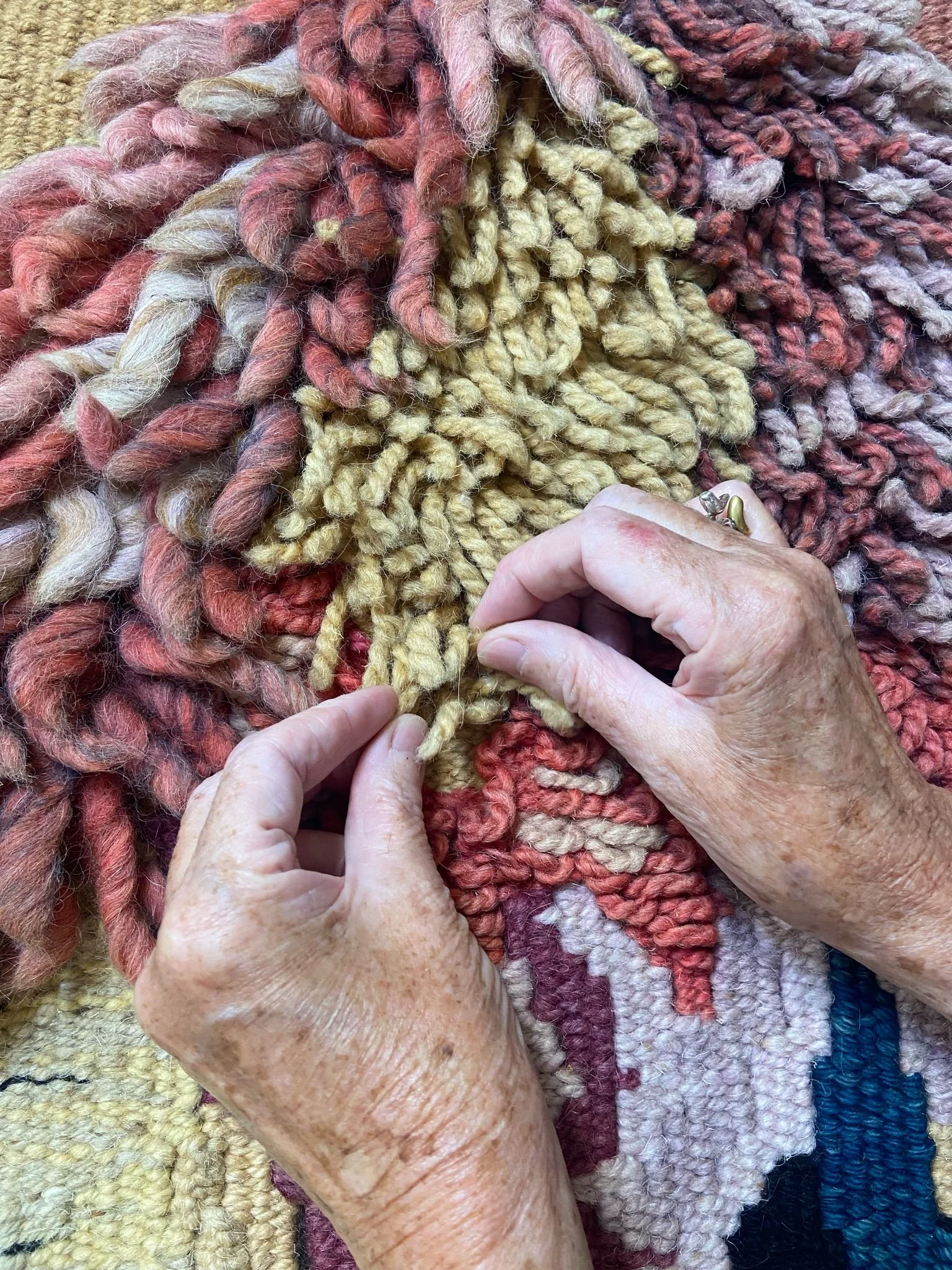 frances Crowe Natures Hues Hands on detail.jpg