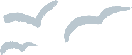Three silhouettes of flying birds, varying in size and orientation.