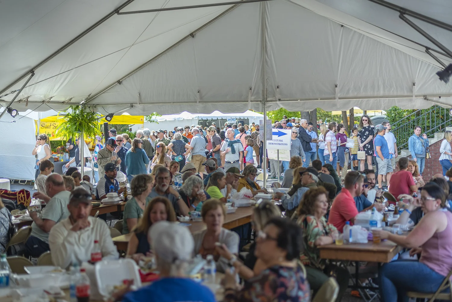 About — Asheville Greek Fest
