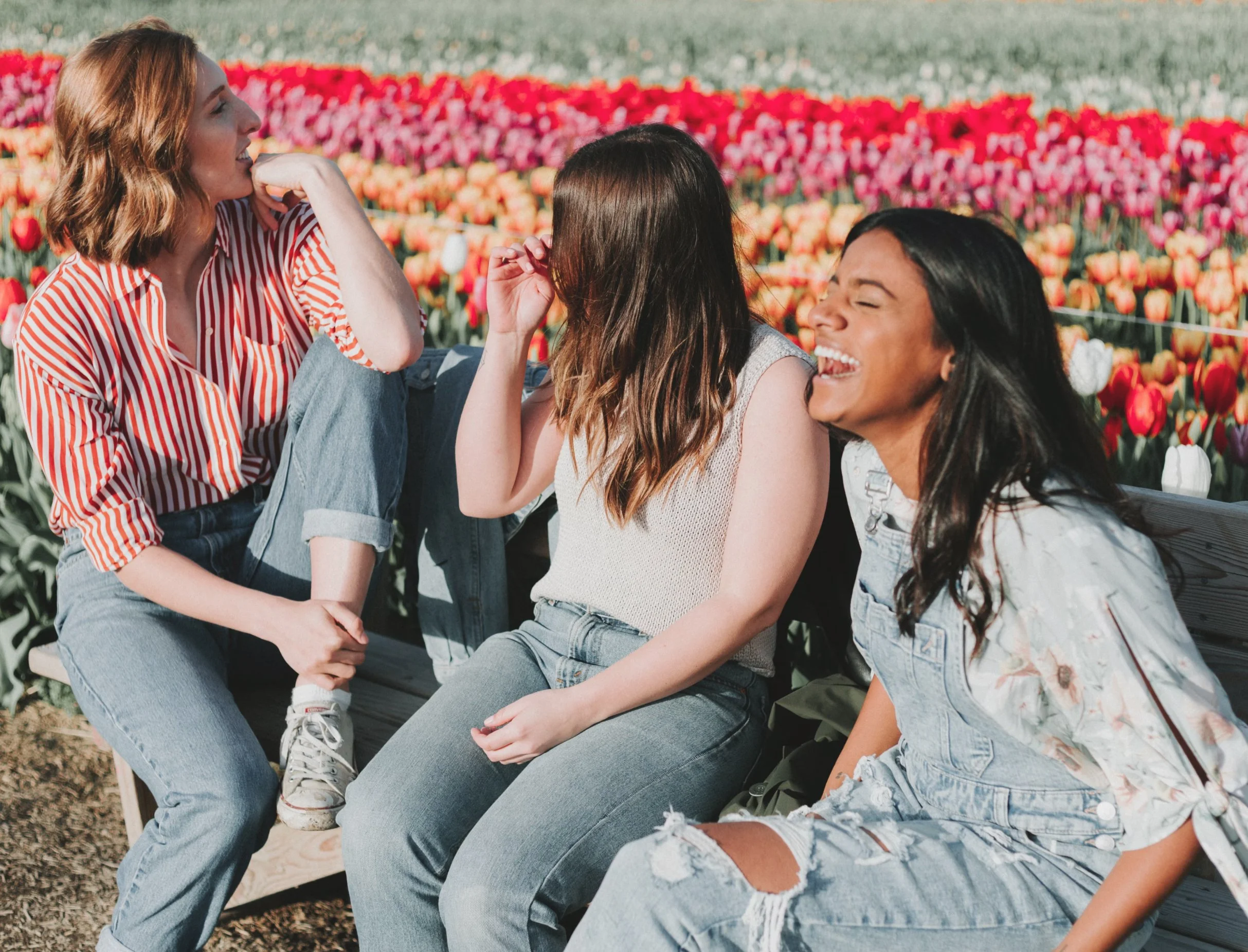 Three young women sitting on a bench in a tulip field, laughing and enjoying each other's company.