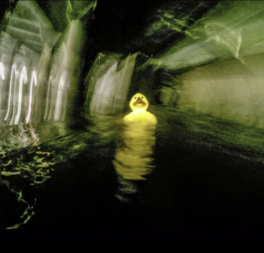 Artists Susi Arnott & Crispin Hughes film 'Duck' at Foragers of the Foreshore