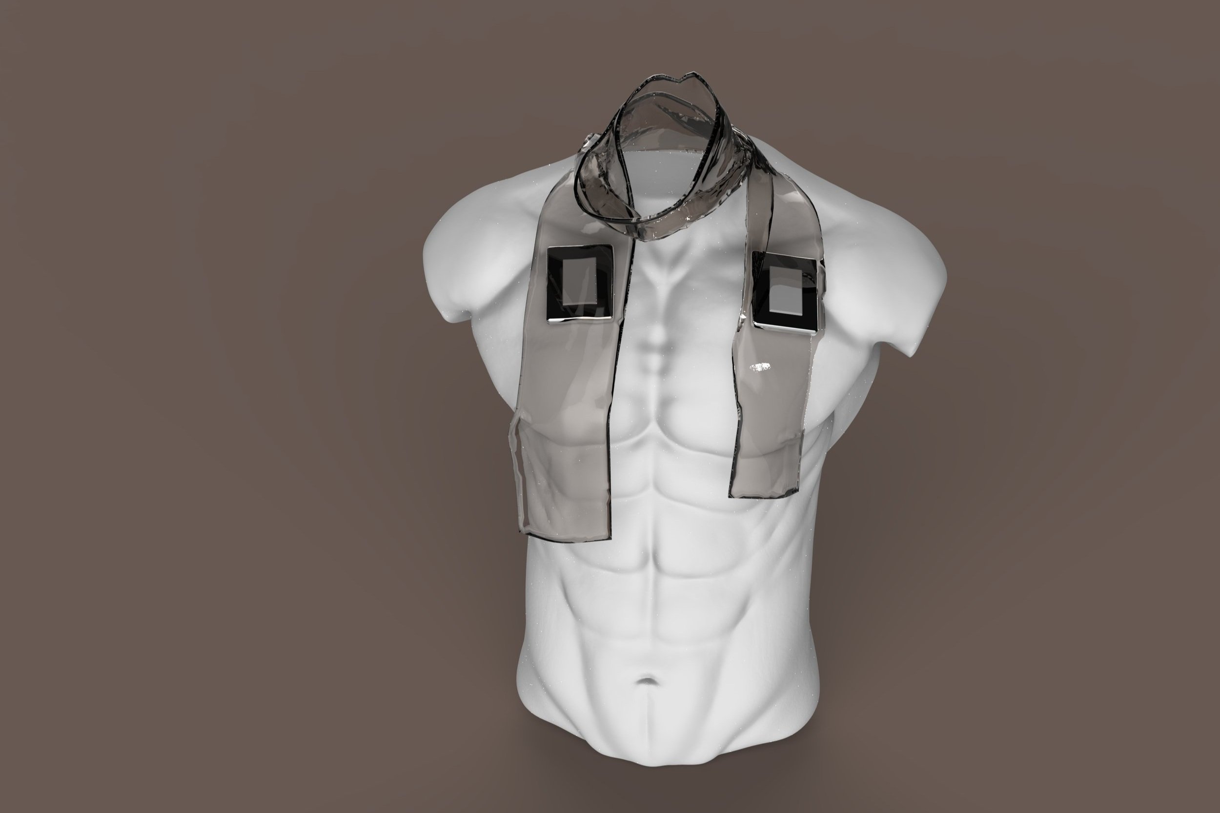 PPG ON TORSO