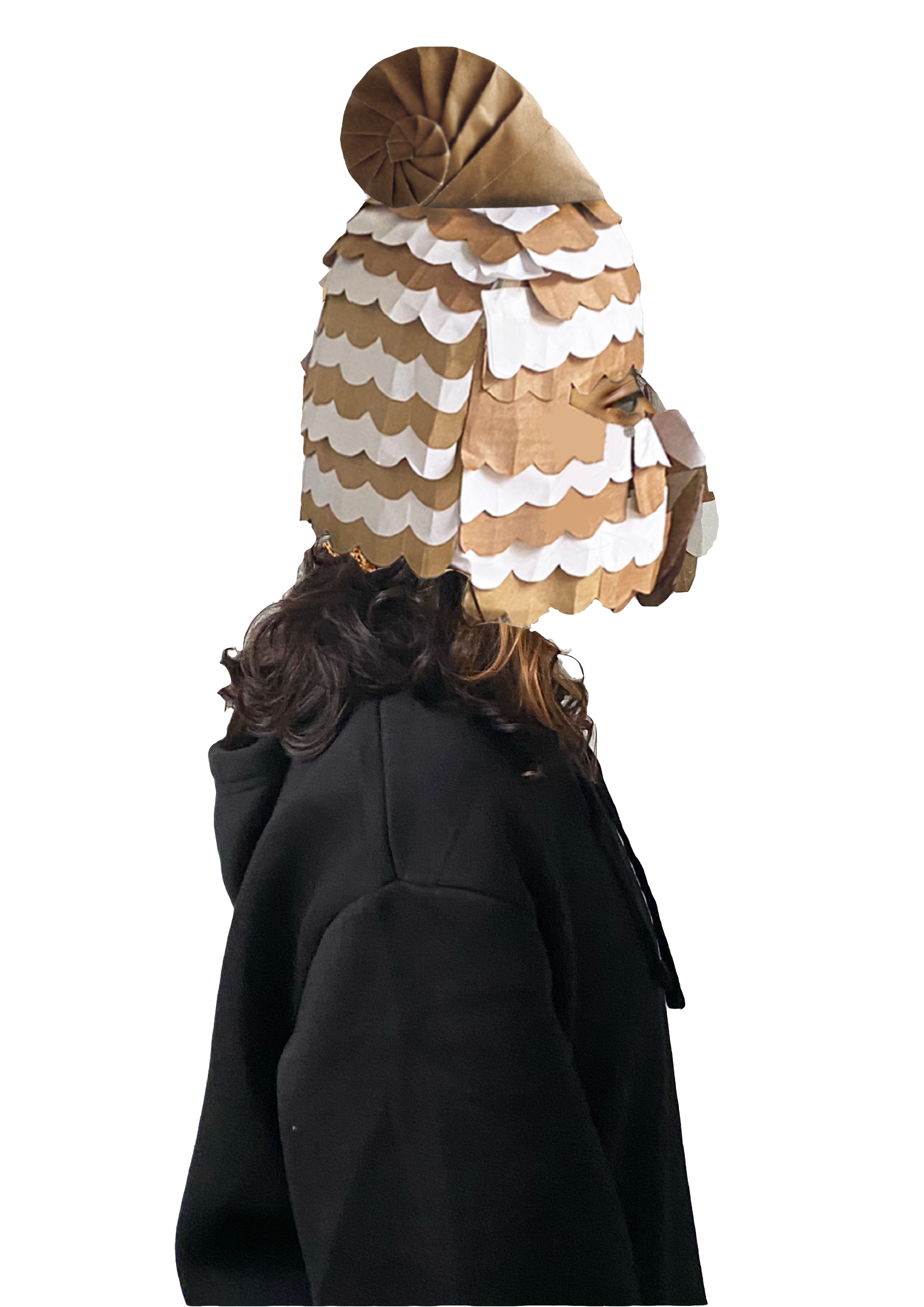 sideee Transparent.png