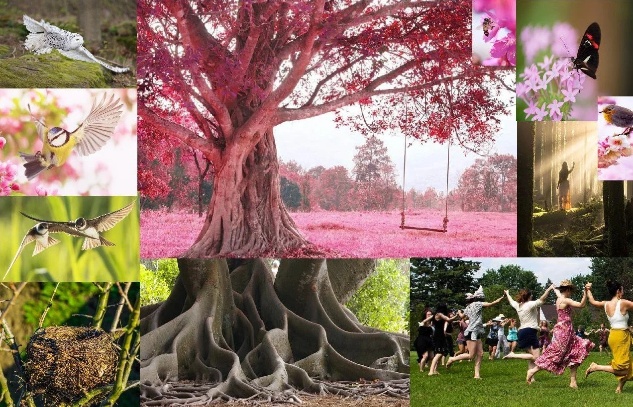 Biodanza Evening in Woodstock