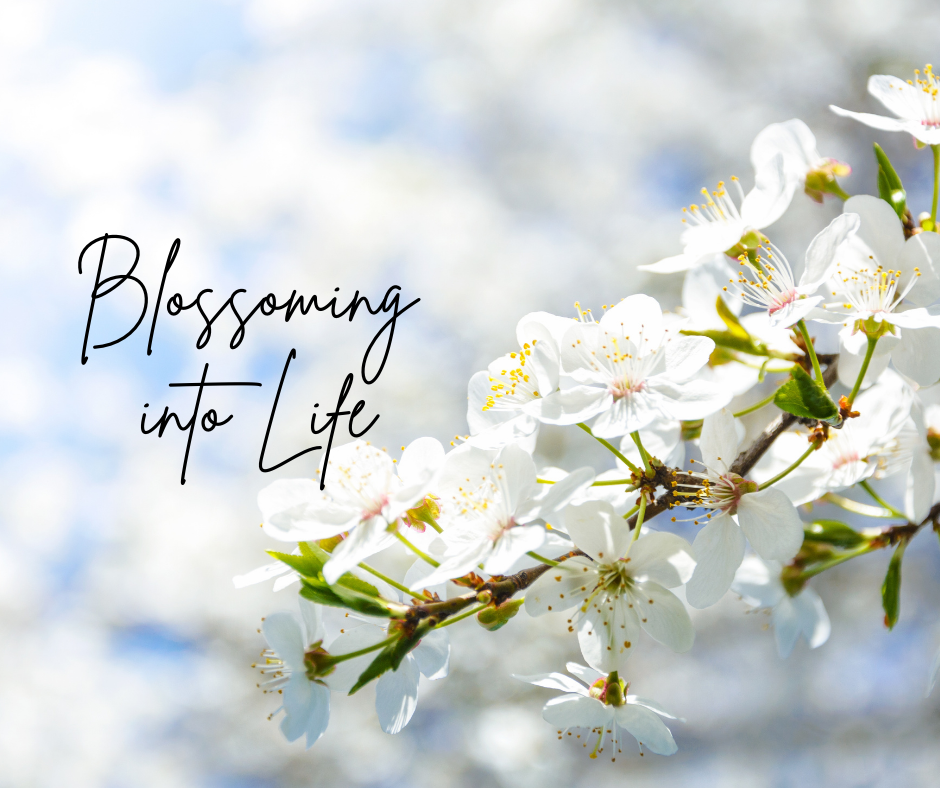 Blossoming into Life:  A Boston-Area Biodanza Friday Night