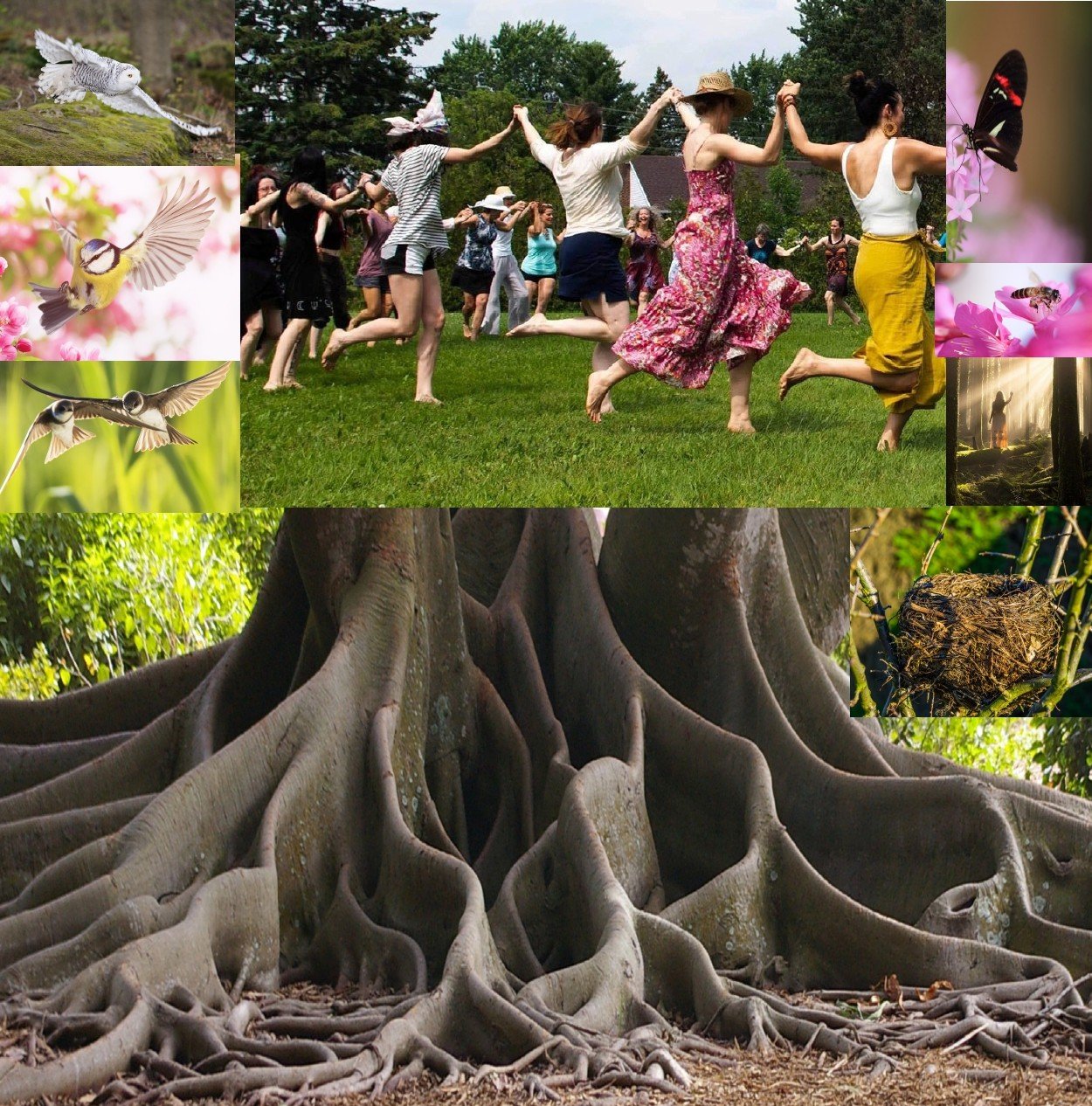 Day of Biodanza