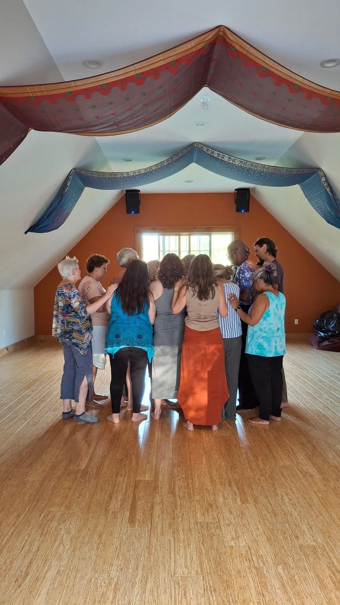 Biodanza School of NYS — New World Ritual & Dance