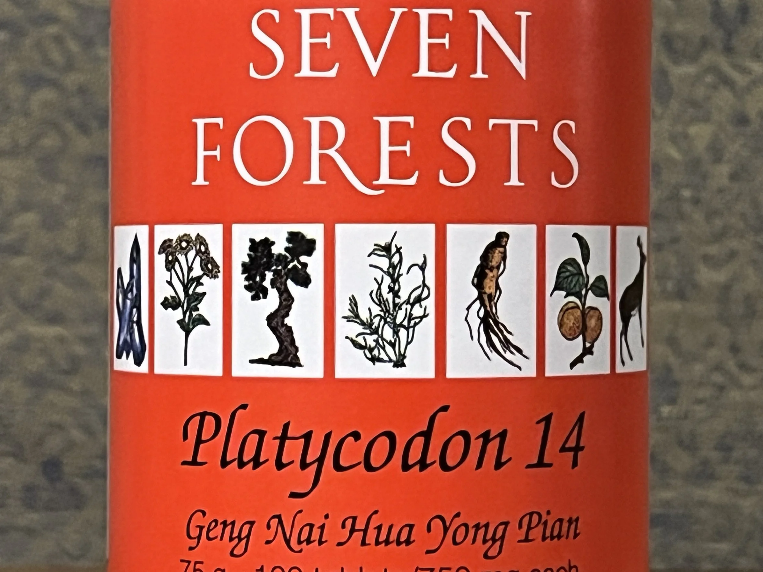 Platycodon 14