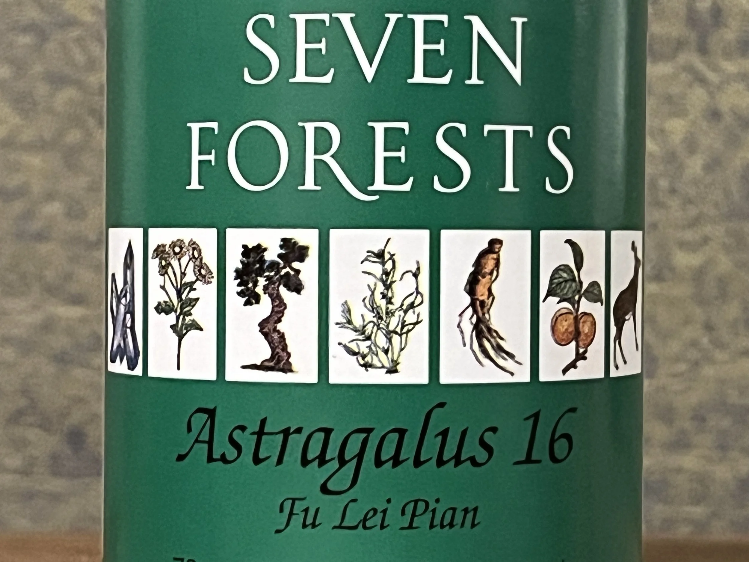 ASTRAGALUS 16