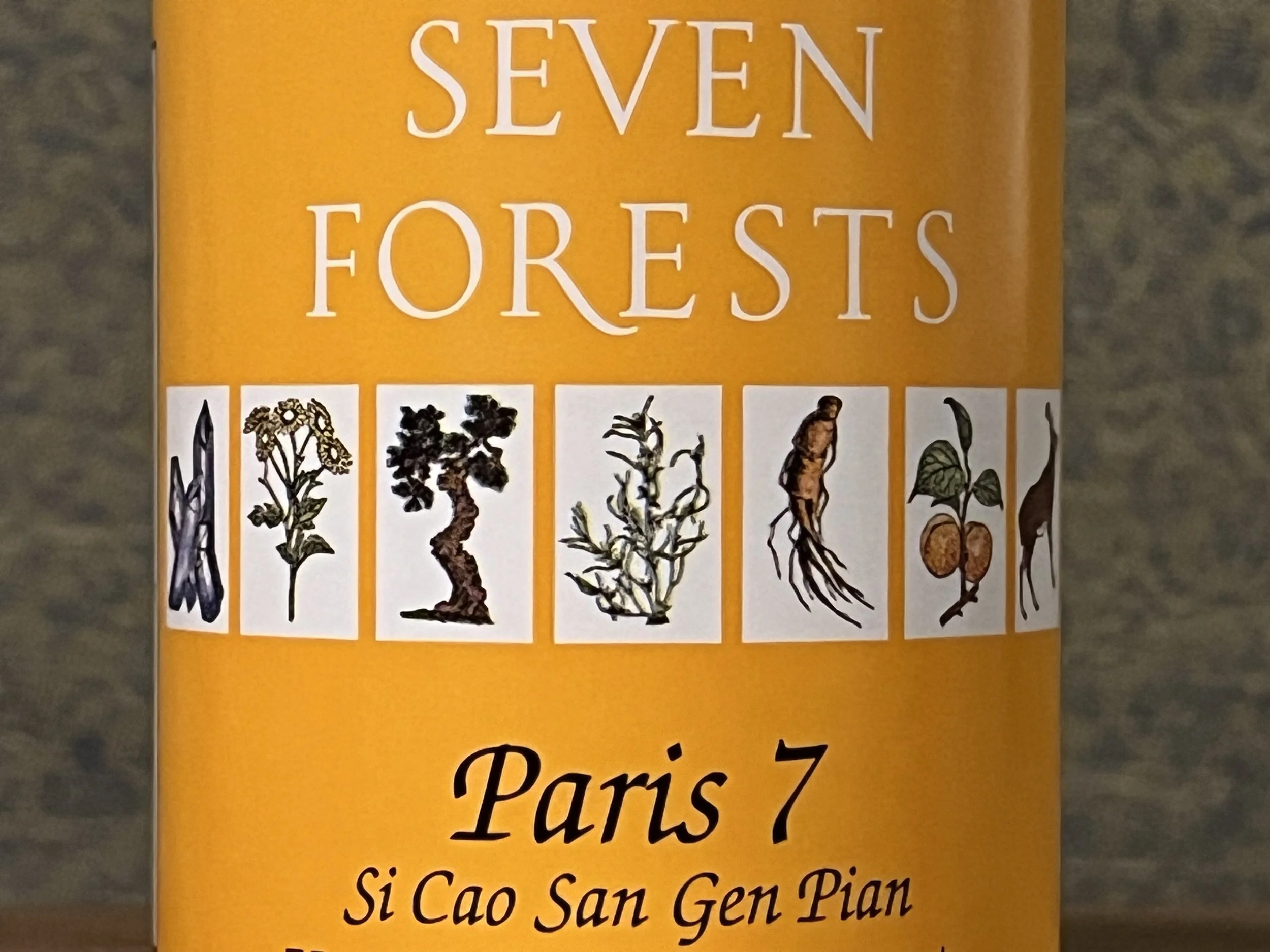 Paris 7
