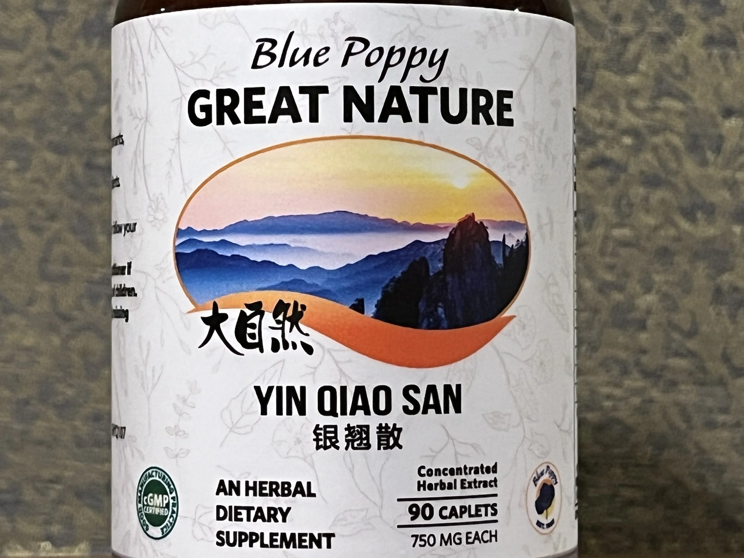 Yin Qiao San