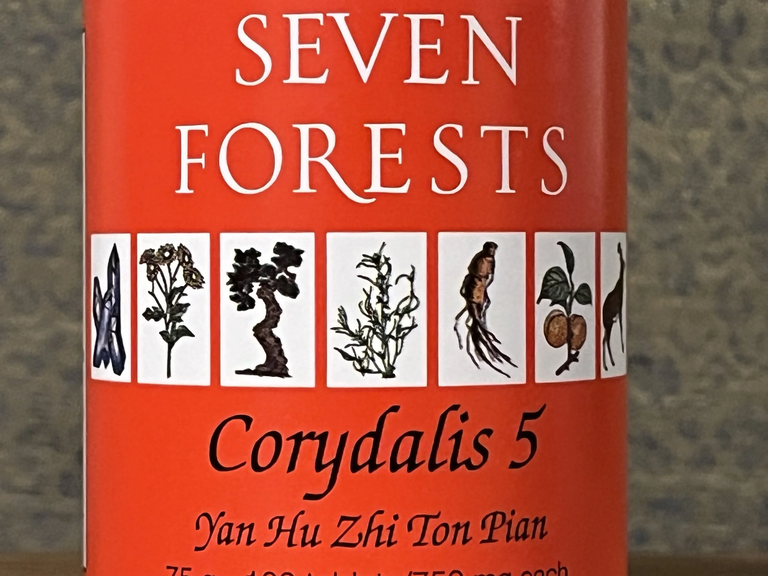 Corydalis 5