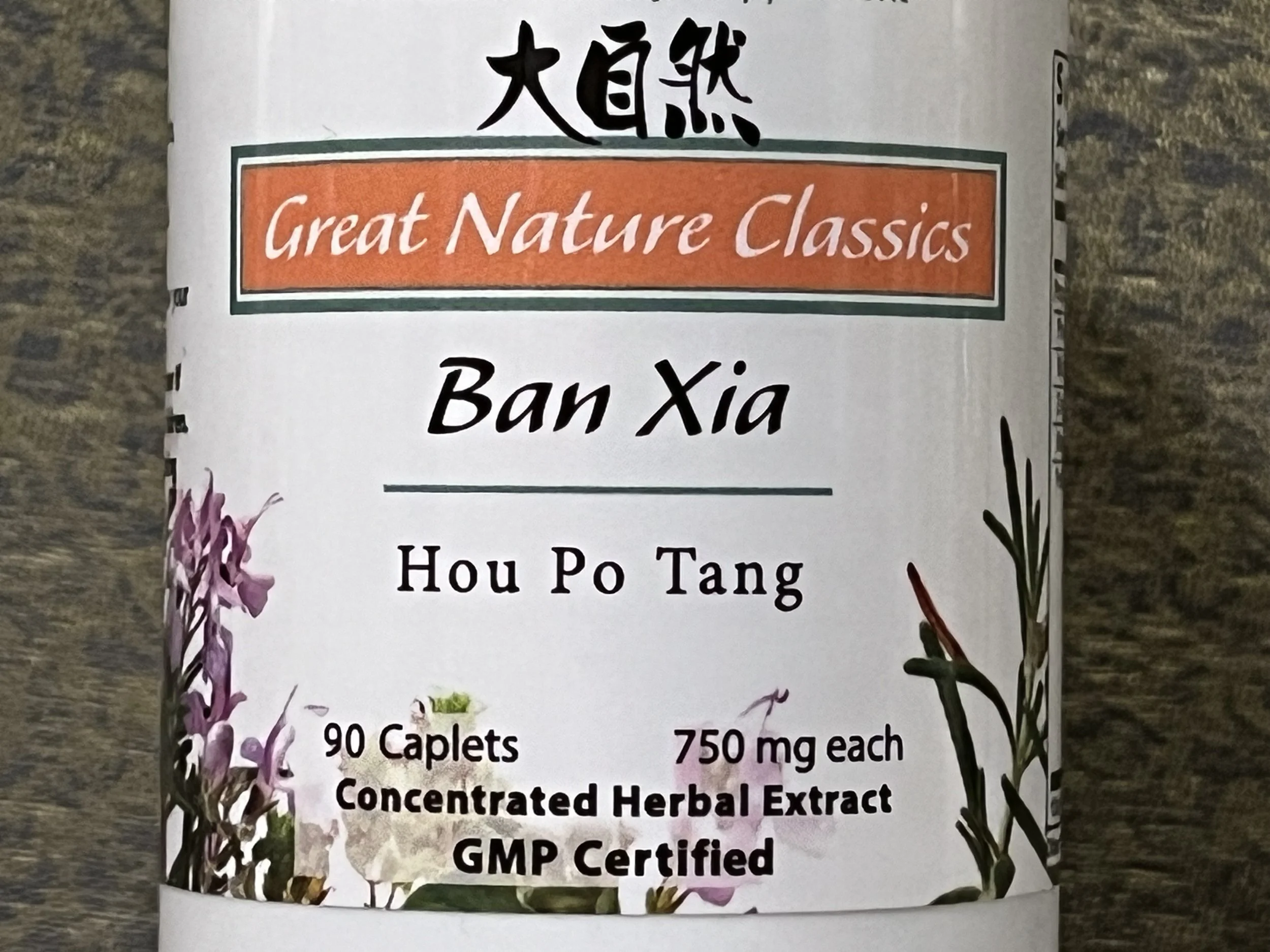 Ban Xia Hou Po Tang