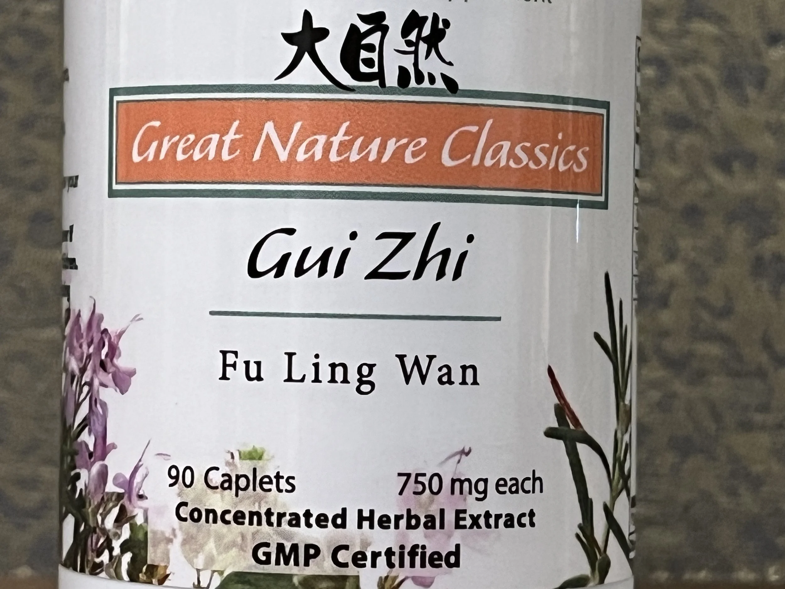Gui Zhi Fu Ling Wan