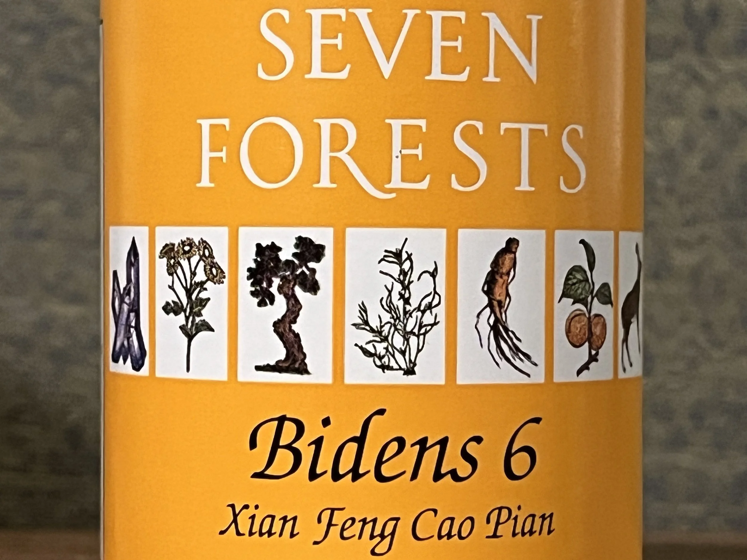 Bidens 6