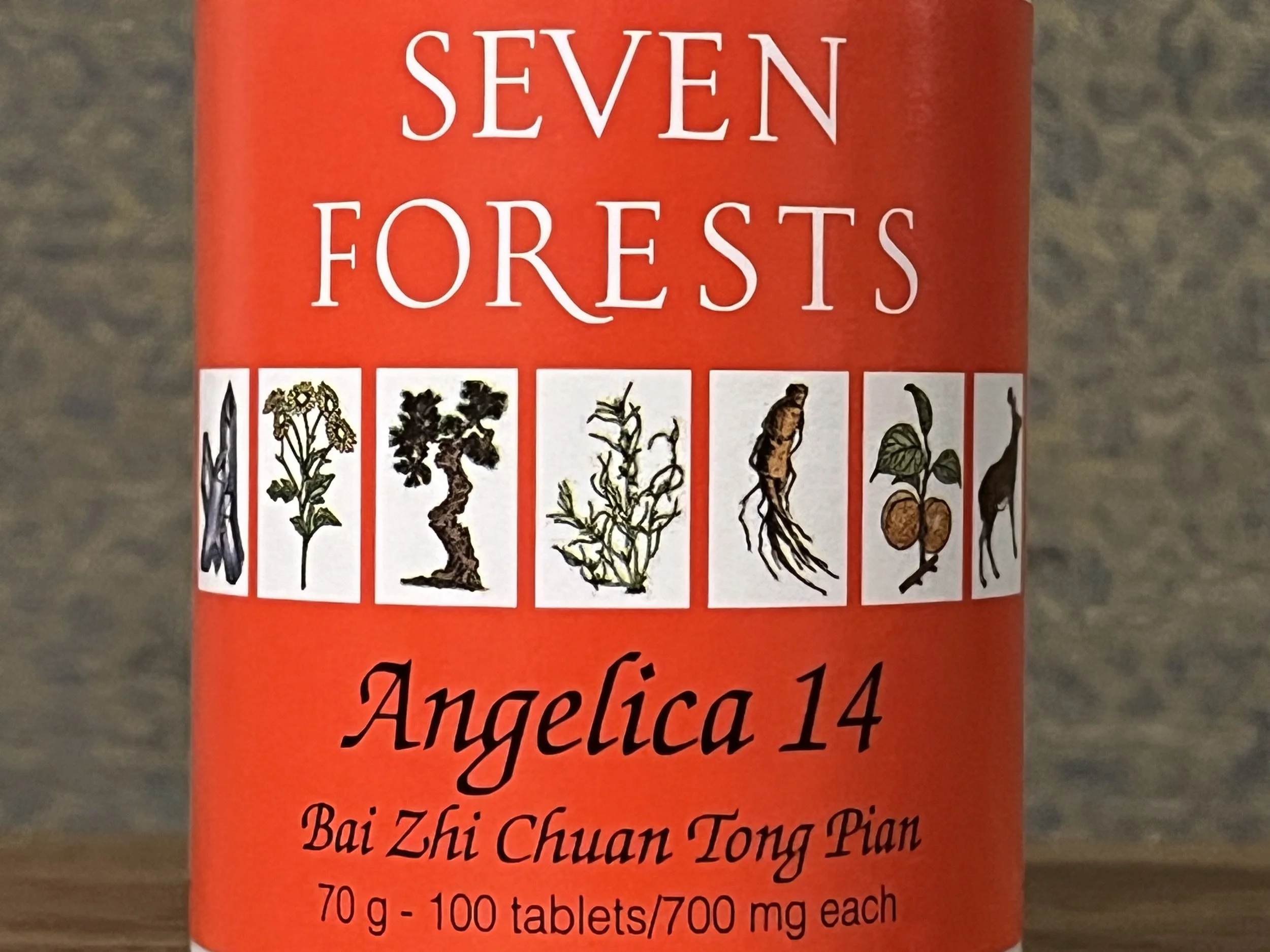 Angelica 14
