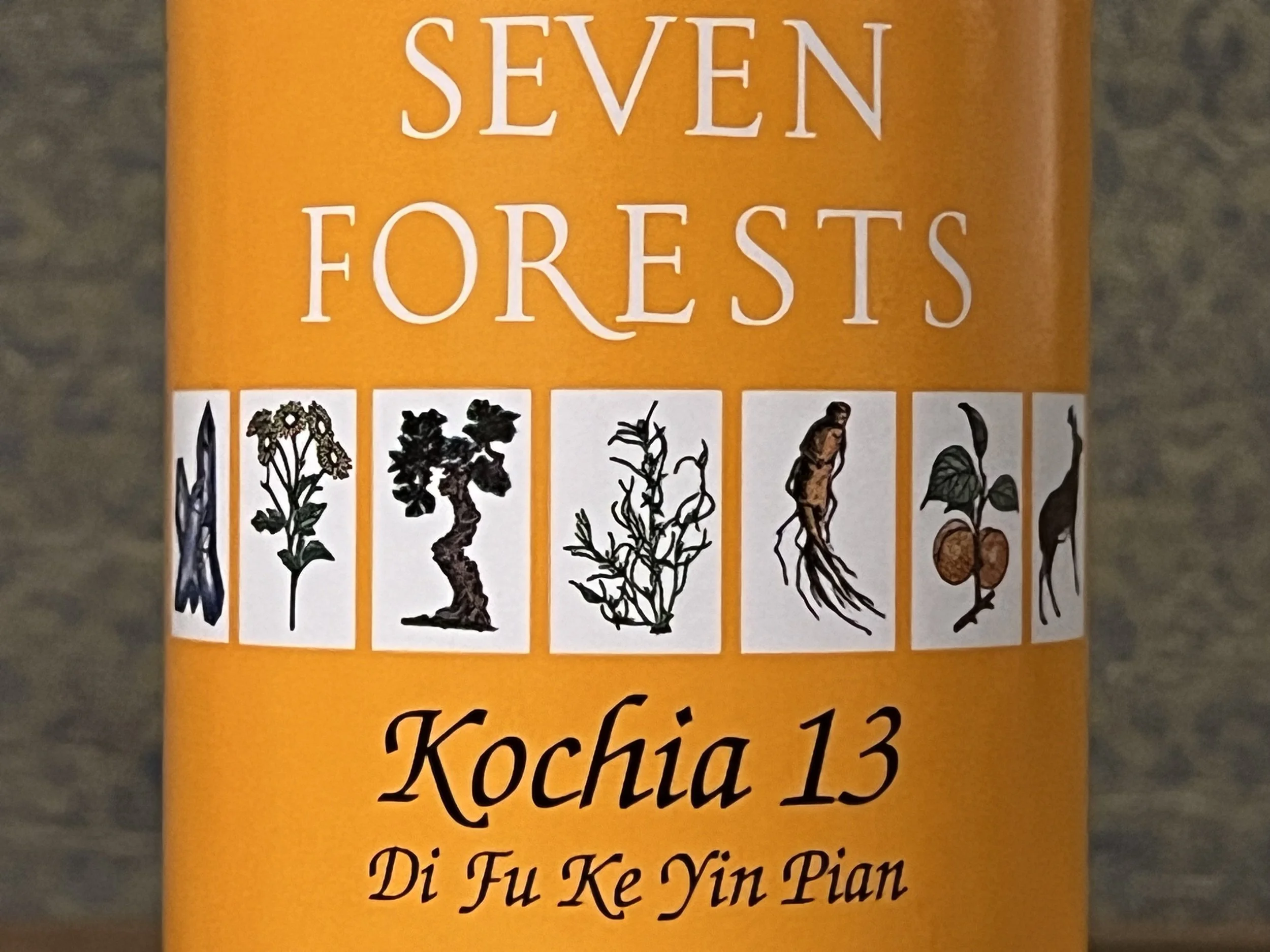 Kochia 13