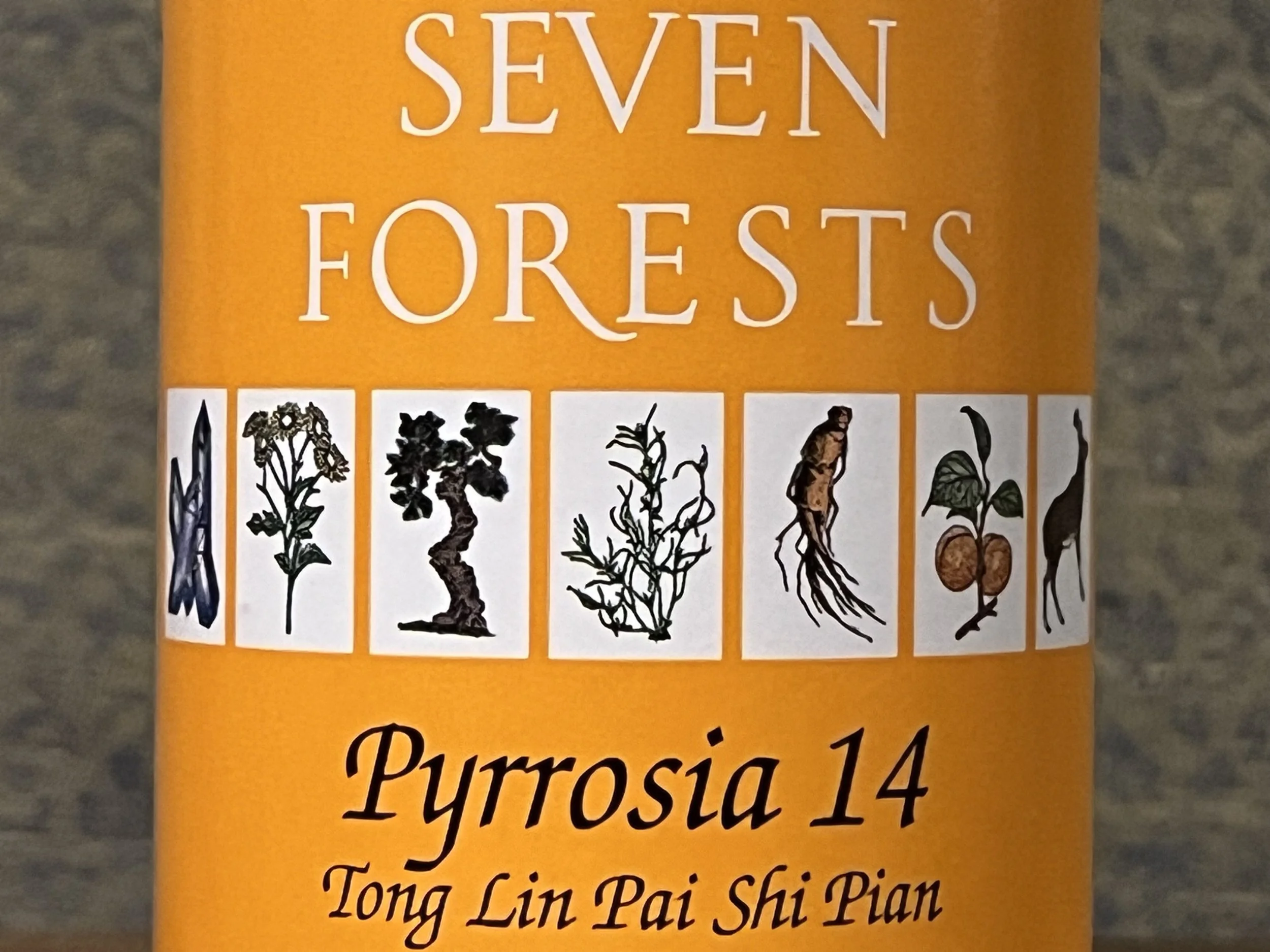 Pyrrosia 14