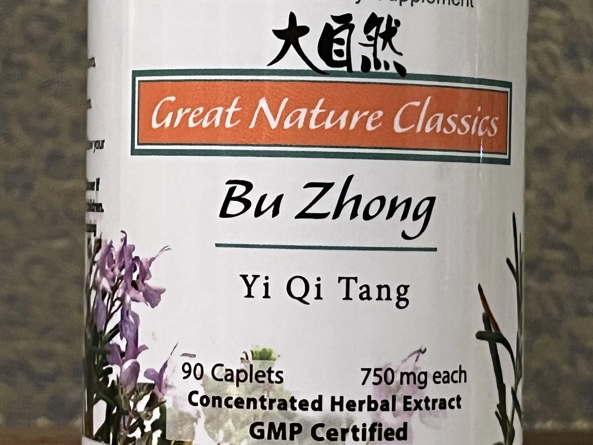 Bu Zhong Yi Qi Tang