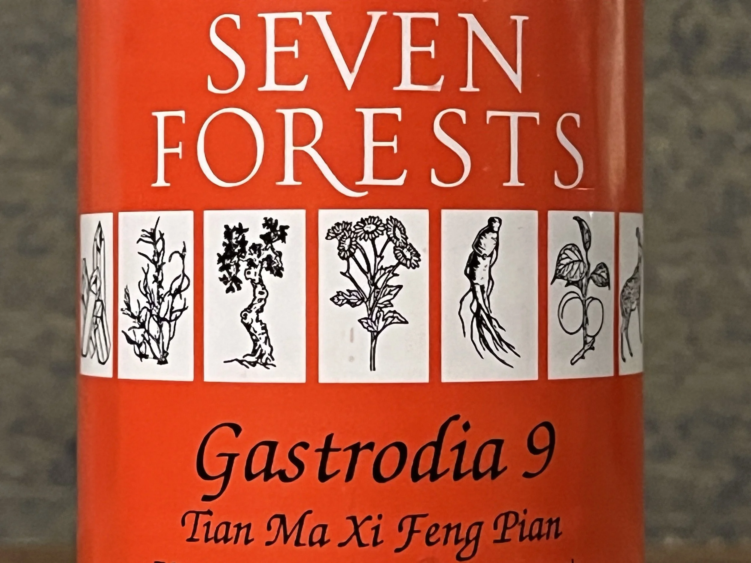 Gastrodia 9