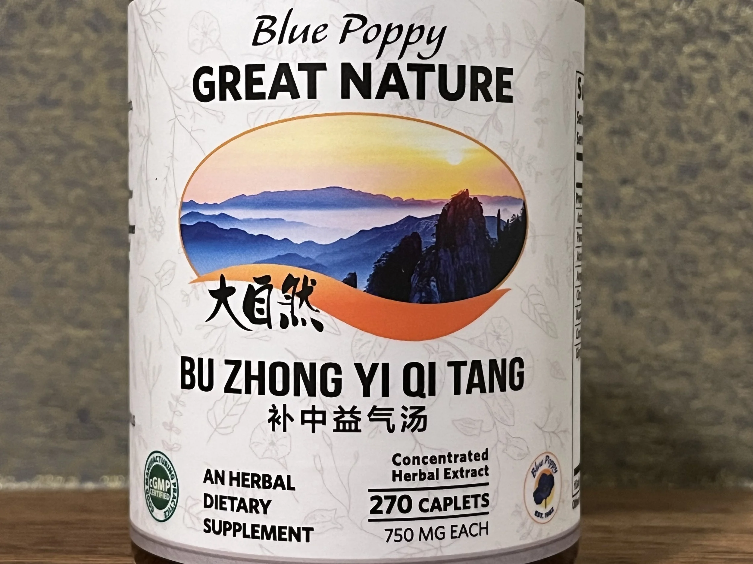 Bu Zhong Yi Qi Tang (Big Economical Bottle 270 count)