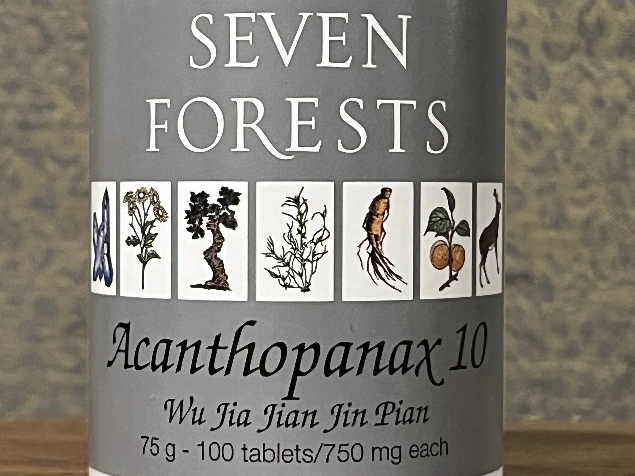 Acanthopanax 10