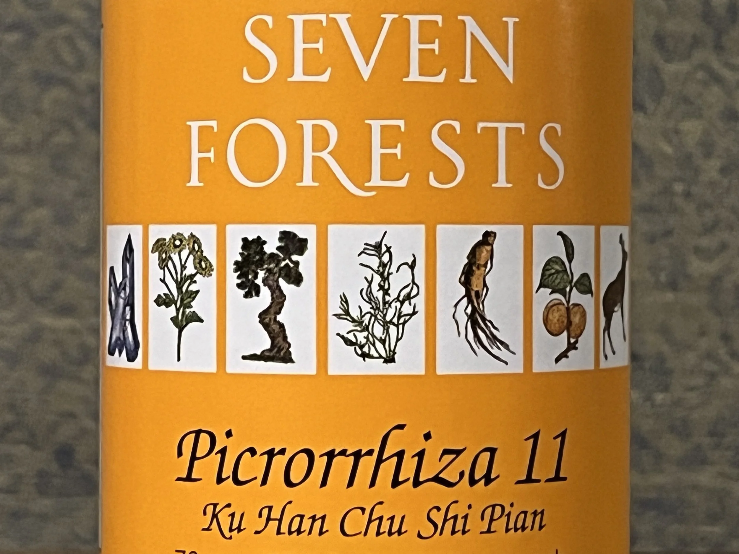 Picrorrhiza 11