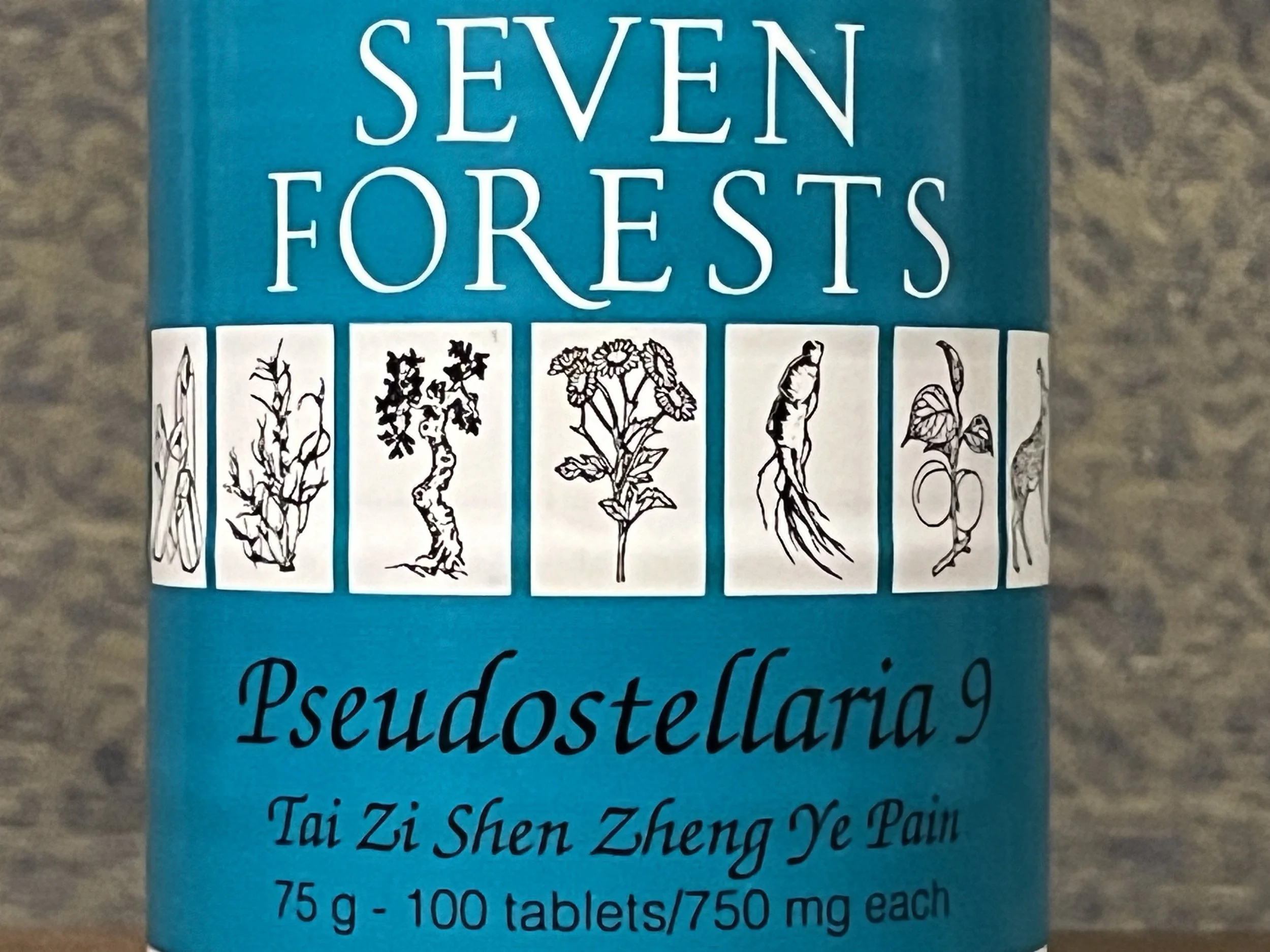Pseudostellaria 9