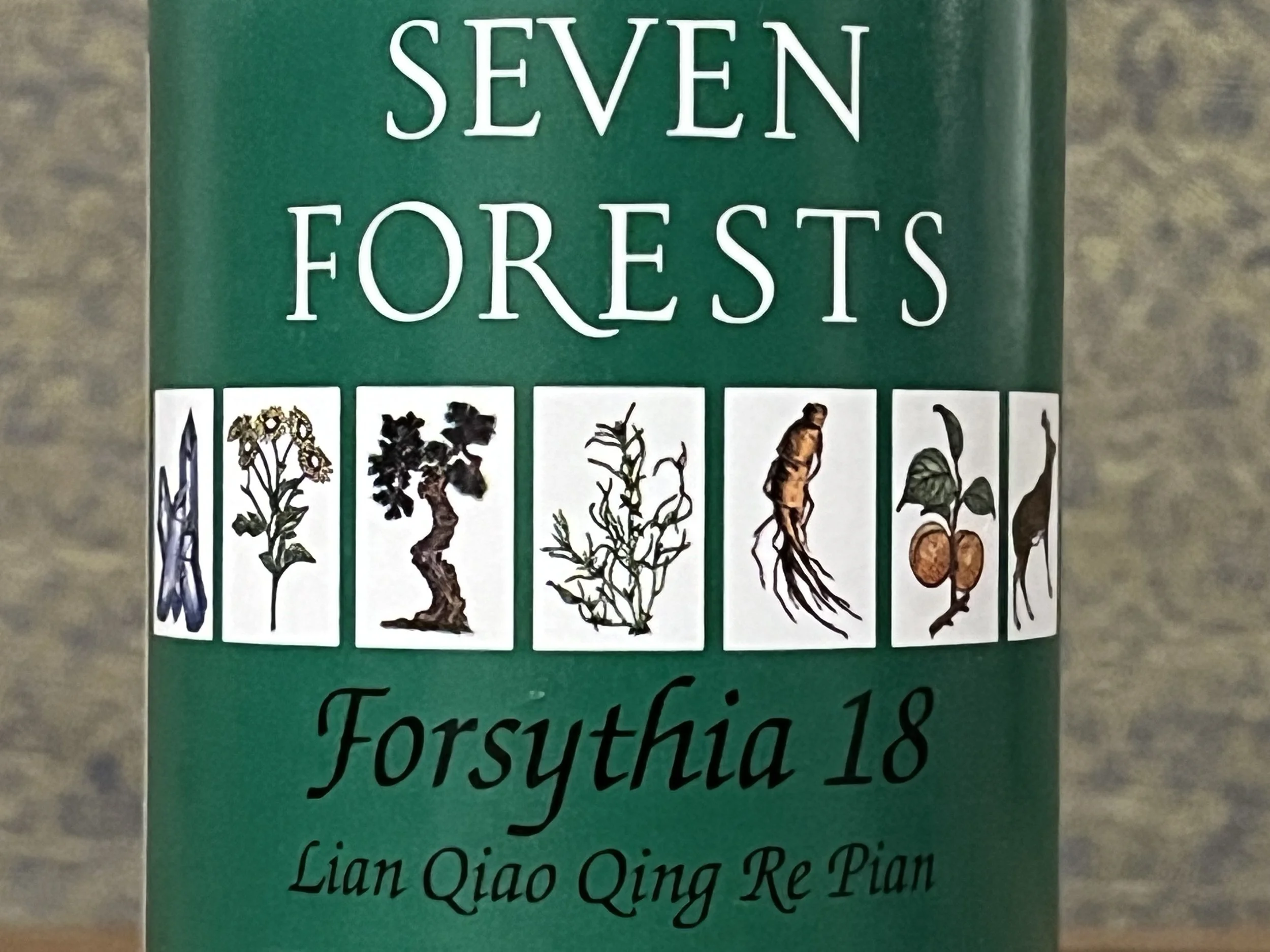 Forsythia 18