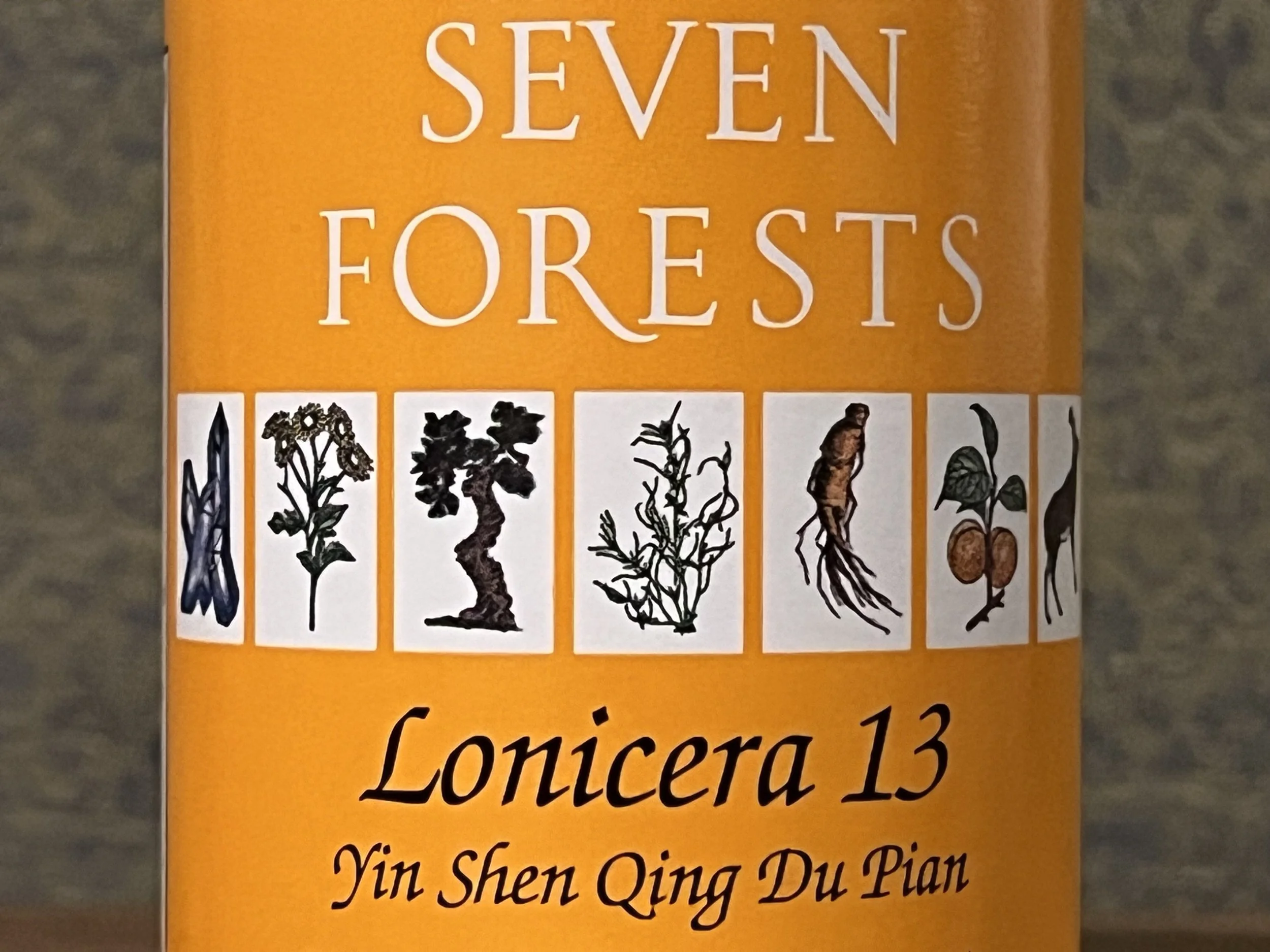 Lonicera 13