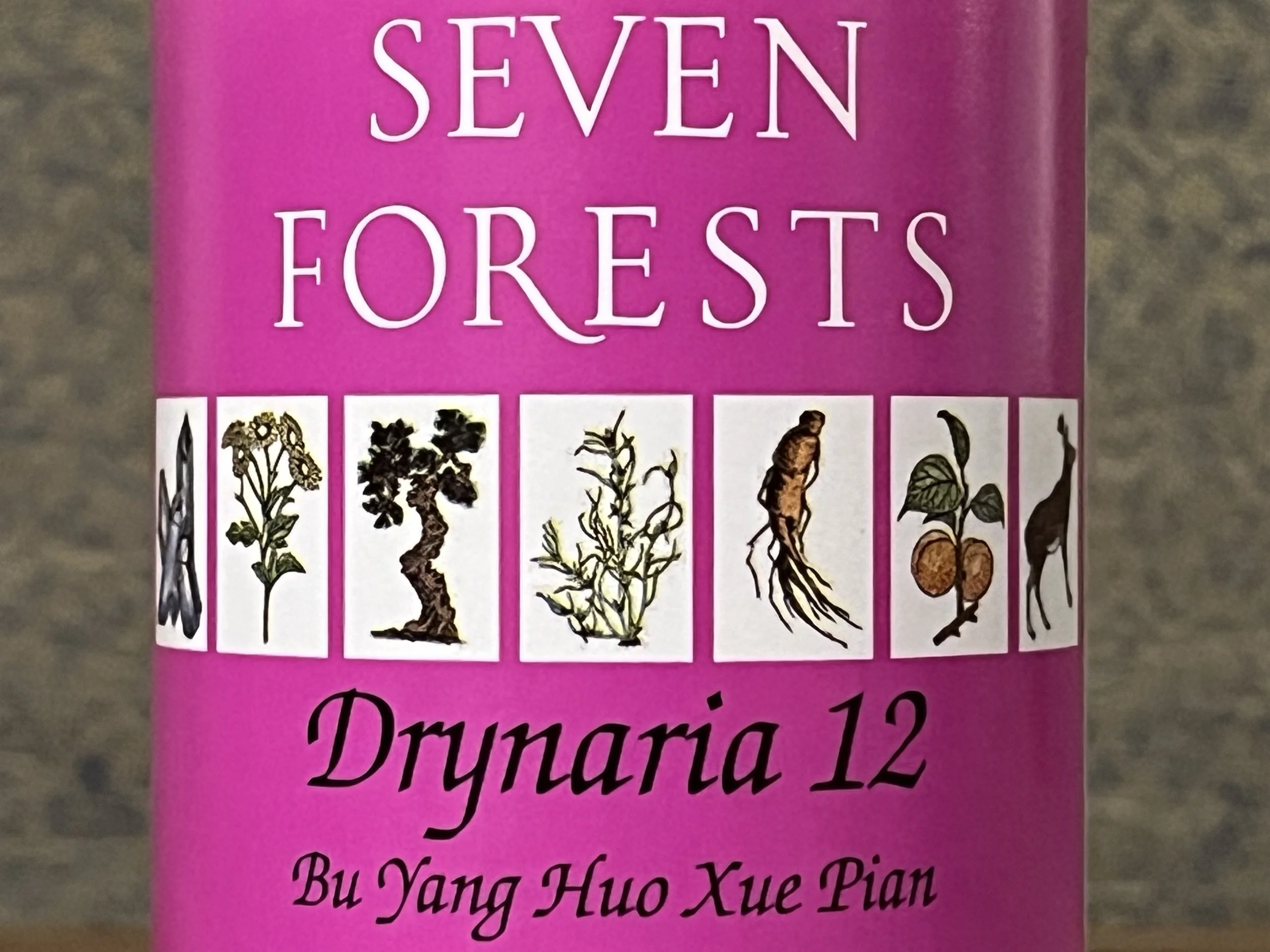 Drynaria 12
