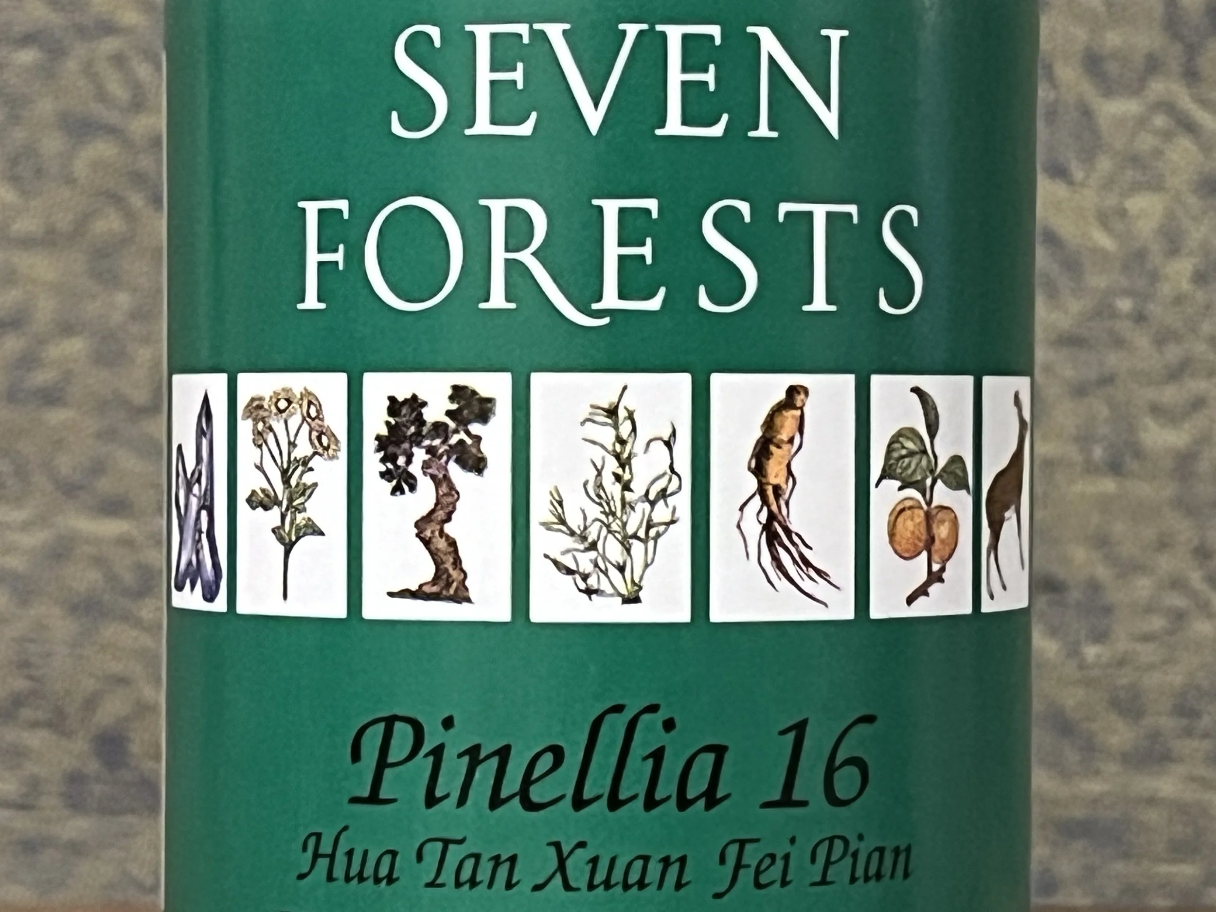 Pinellia 16