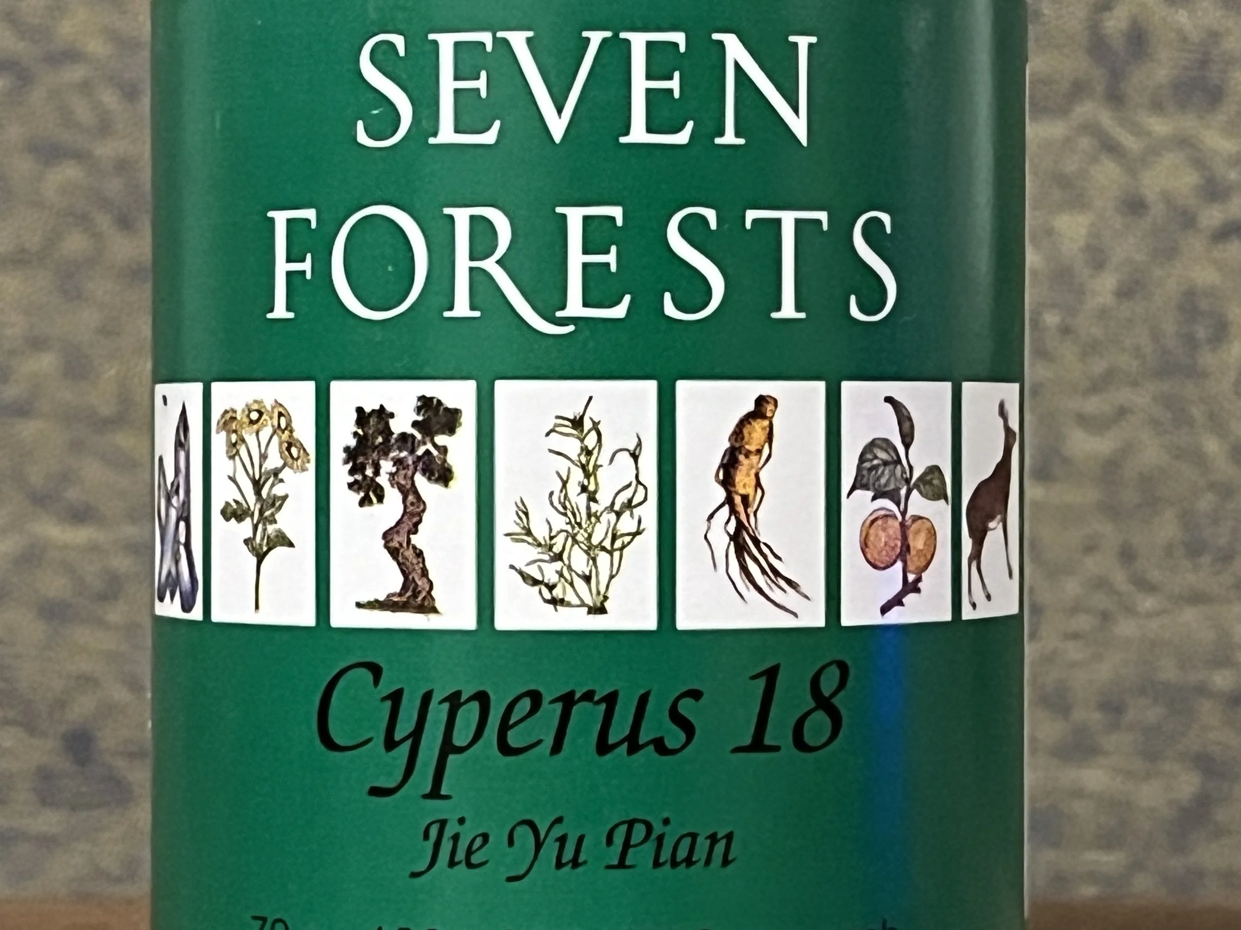 Cyperus 18