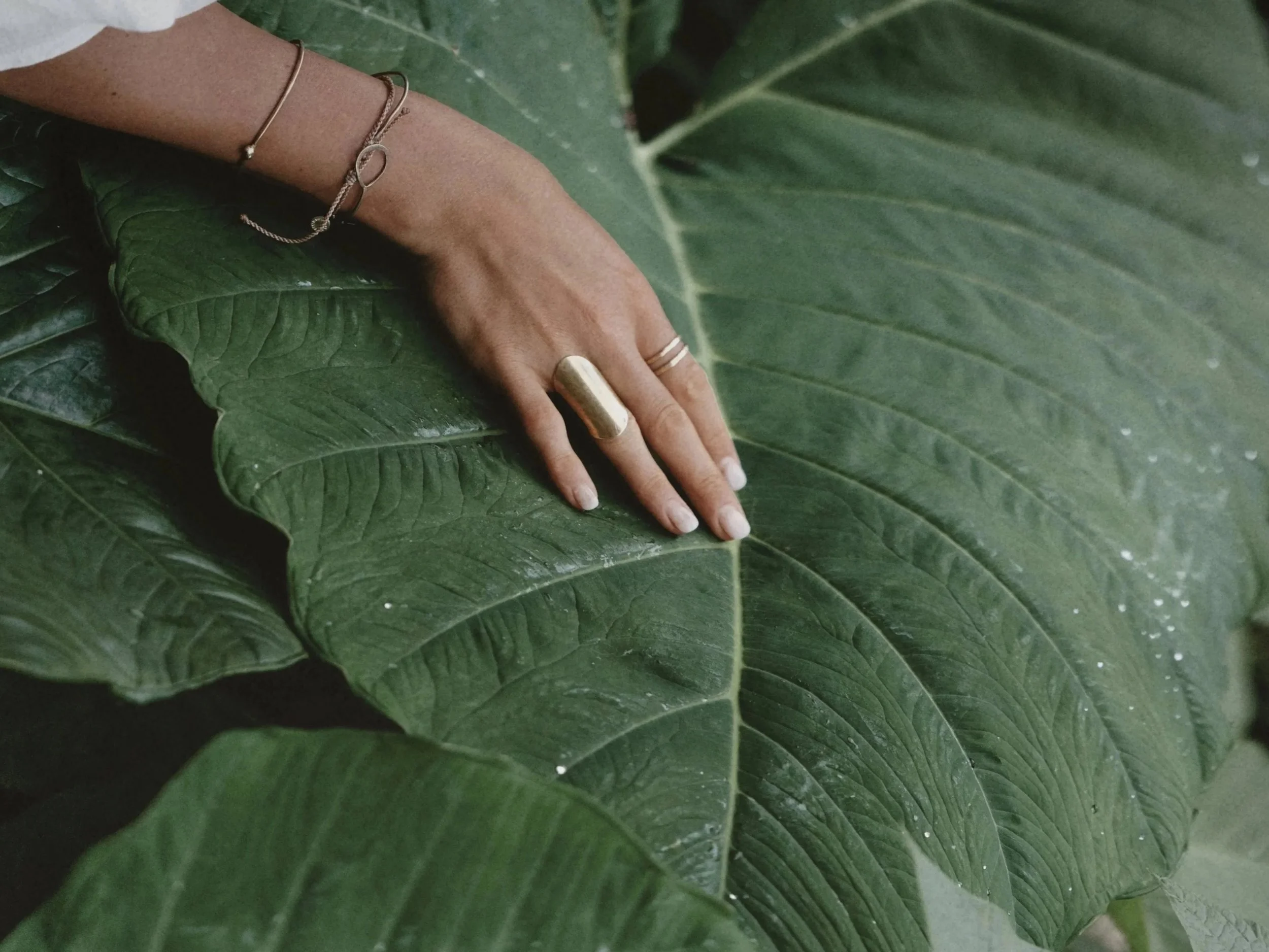 A person's hand with jewelry resting on large green leaves.