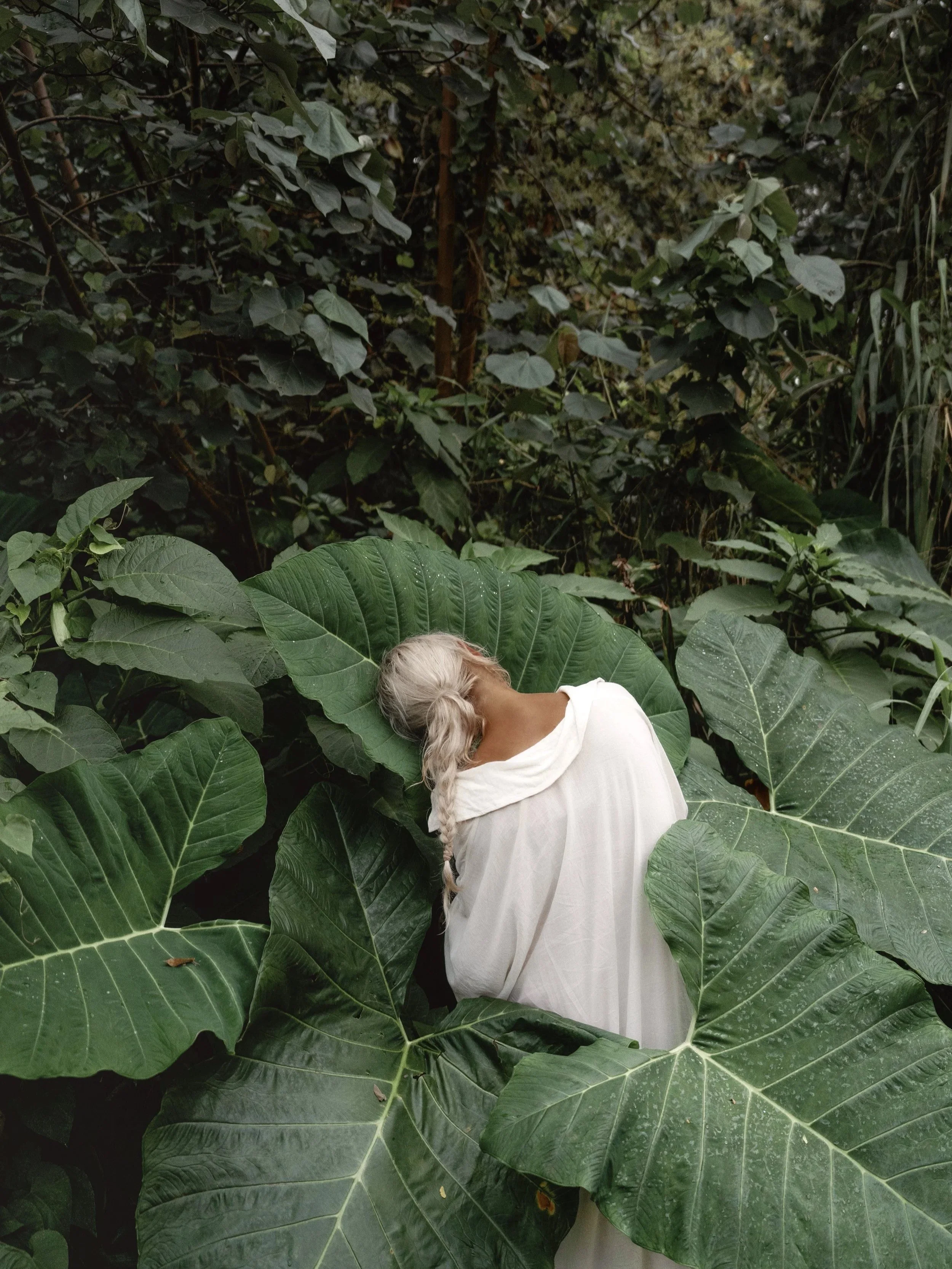 A person with long white hair in a braid, wearing a white hoodie, standing amidst large green leaves and dense foliage.