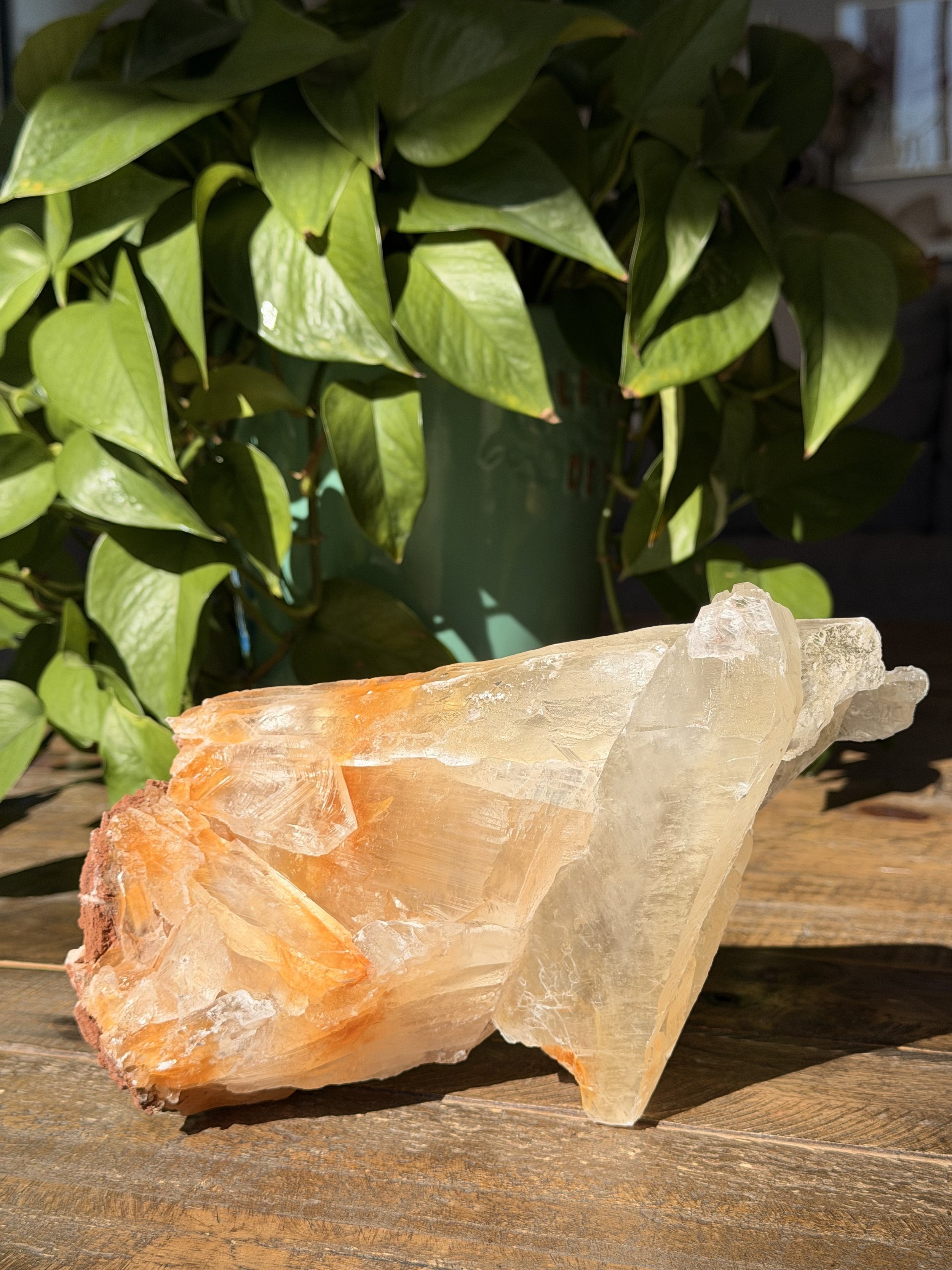 Golden Selenite