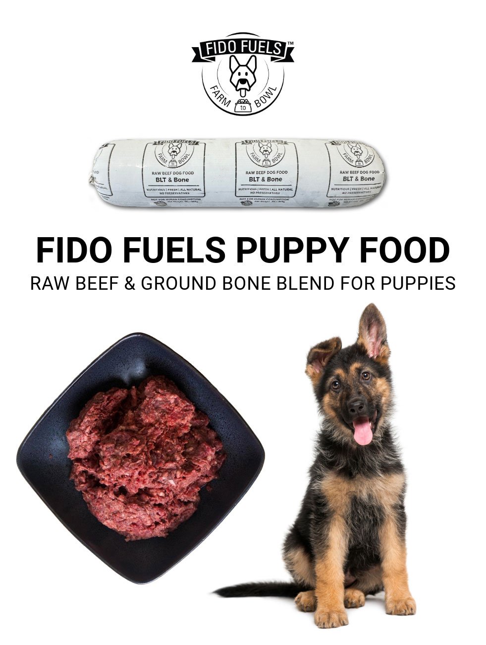 fido-fuels-puppy-blend---raw-beef-dog-food-for-puppies.jpg