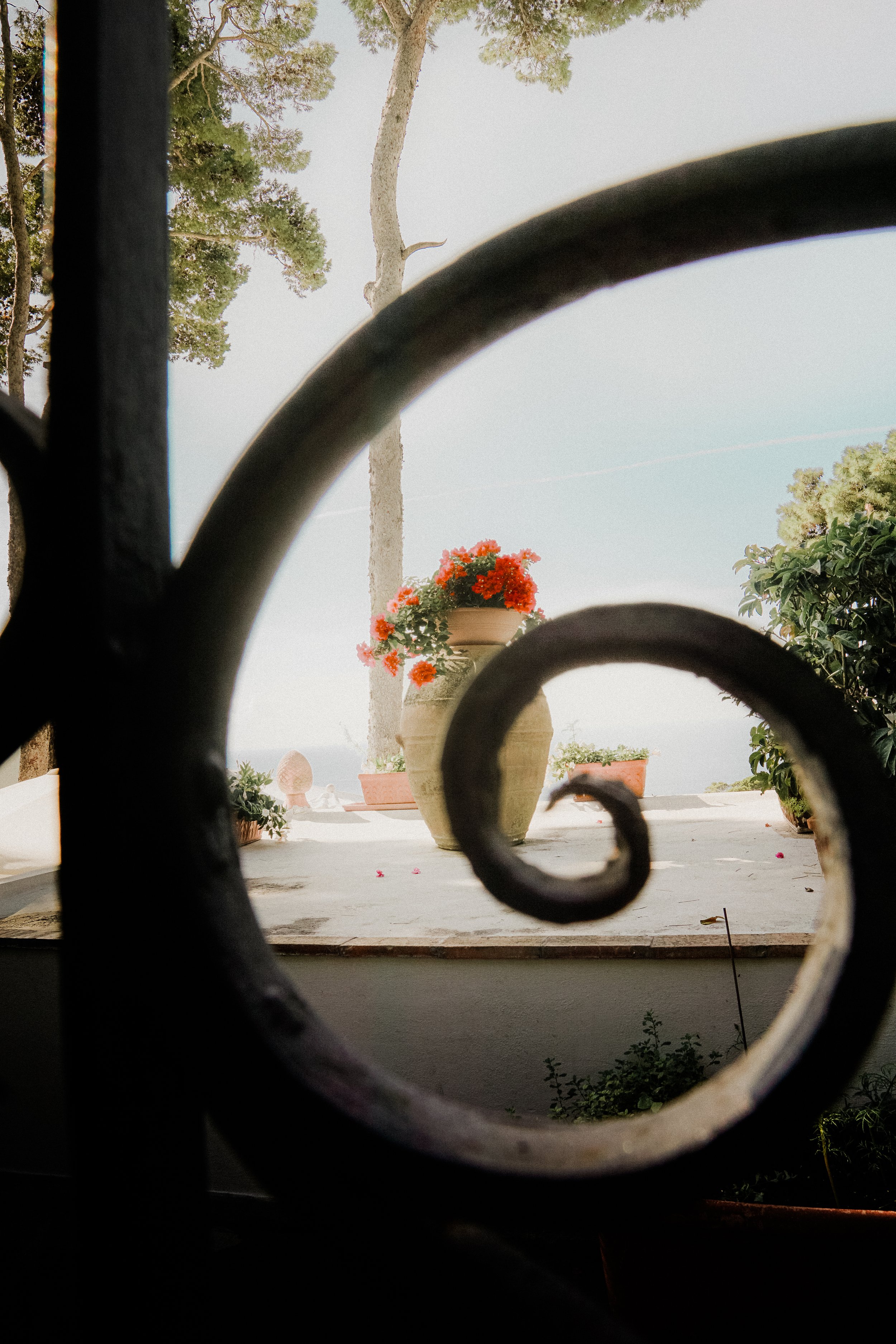 DSC04386-8.jpg