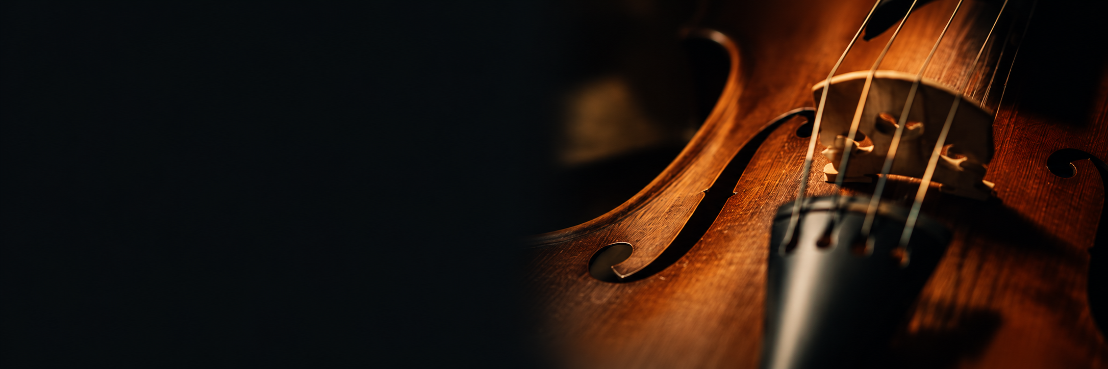 Close-up of a wooden violin showing strings, f-holes, and part of the bridge against a dark background.