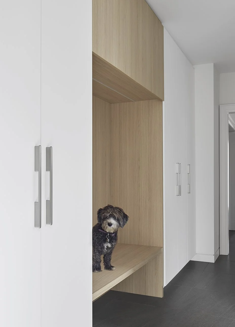 A small dog standing on a wooden platform within a modern kitchen cabinet space, surrounded by white cabinets and a dark floor.