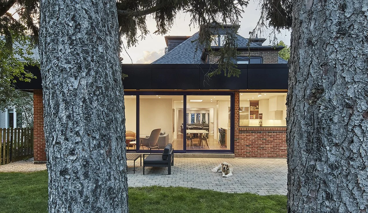 The backyard of a house with two large pine trees in the foreground, a paved patio, and the house interior visible through large glass windows showing a living area and kitchen, with a dog lying on the patio.