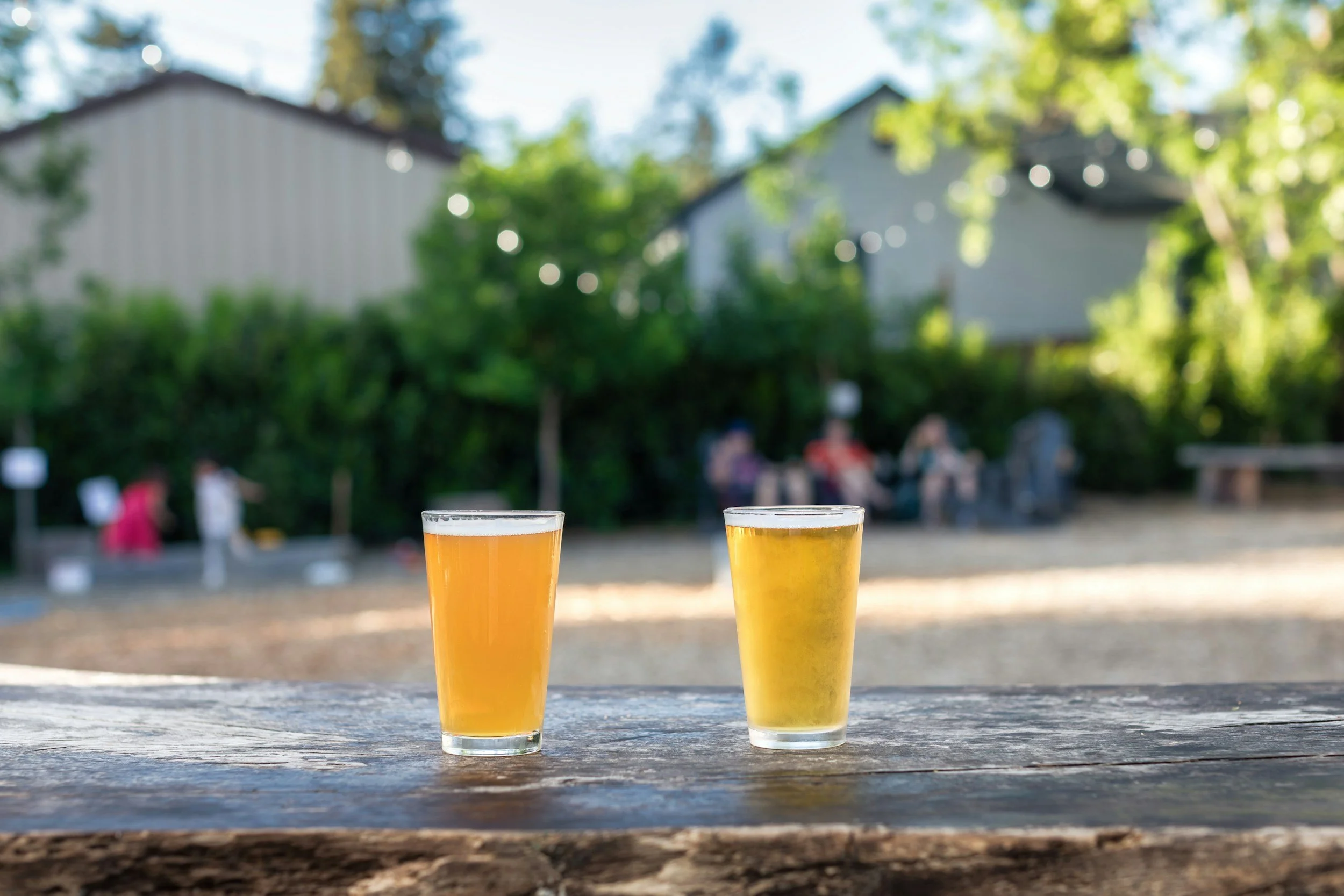 Pint glasses sitting outside near the boise river