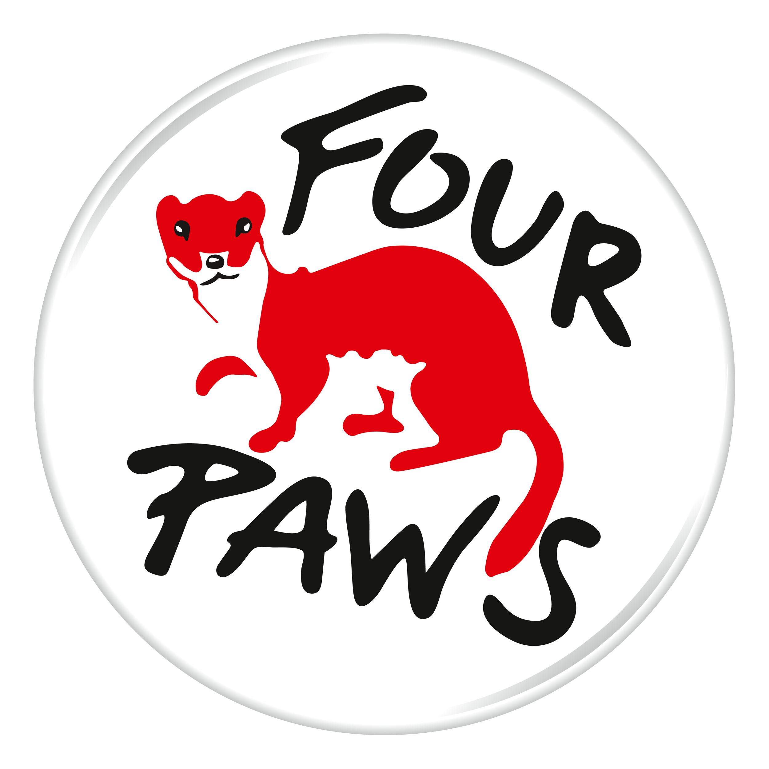 Four Paws.png