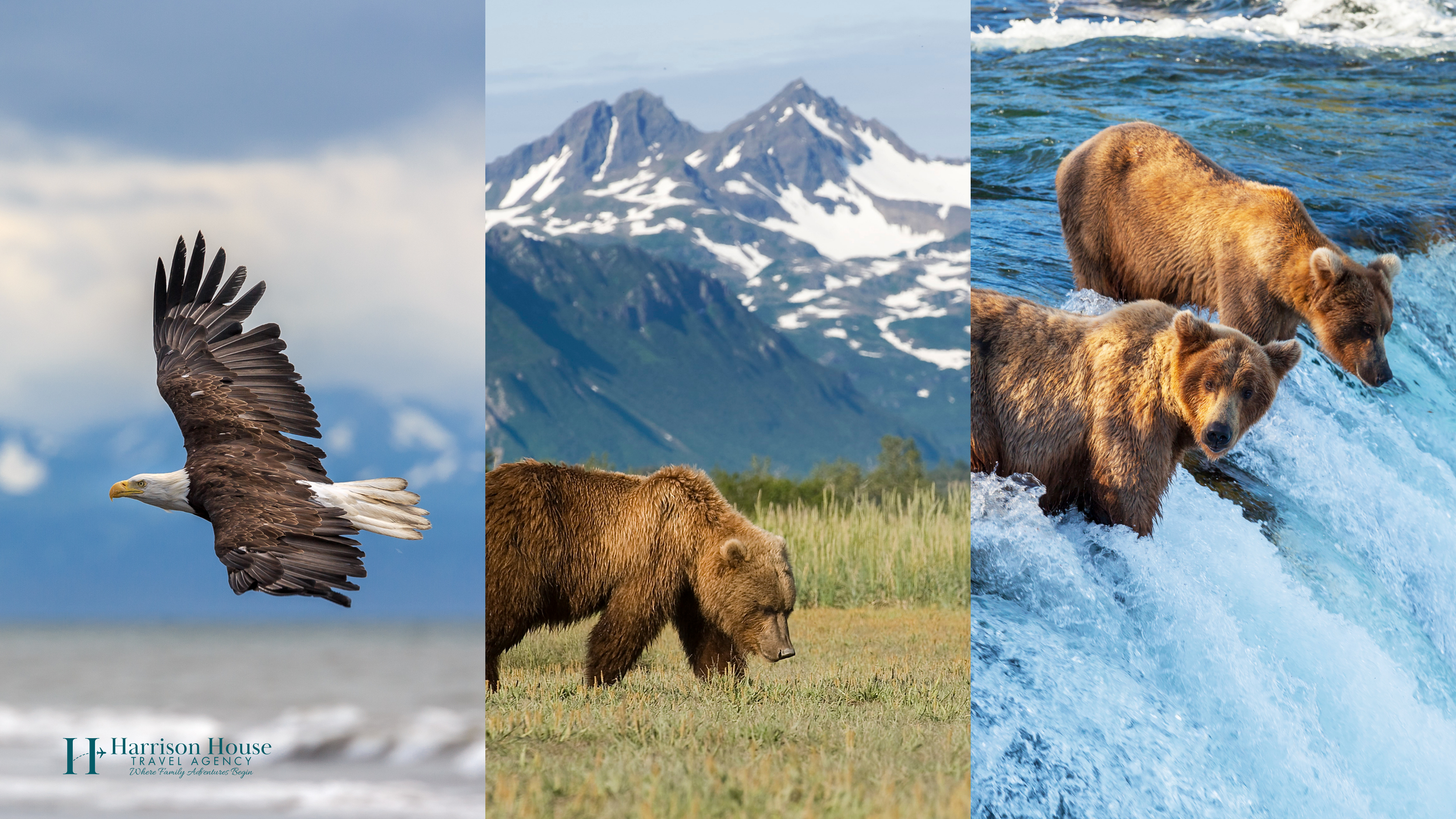 Adventures by Disney Alaska glacier cruise family trip luxury wilderness adventure experience