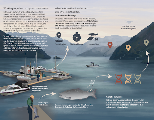 Infographics & Science Illustrations — Fuse Consulting Ltd.